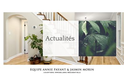 Maison ancestrale : petit guide de la rénovation