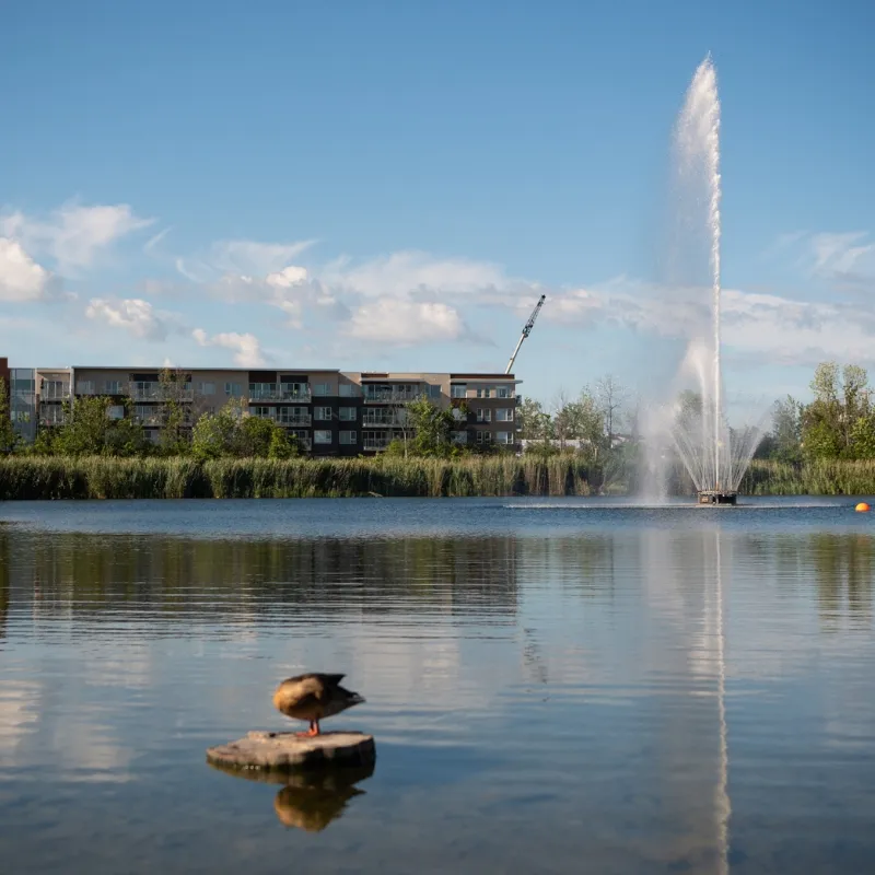 Copropriétés au bord d'un plan d'eau à Saint-Constant